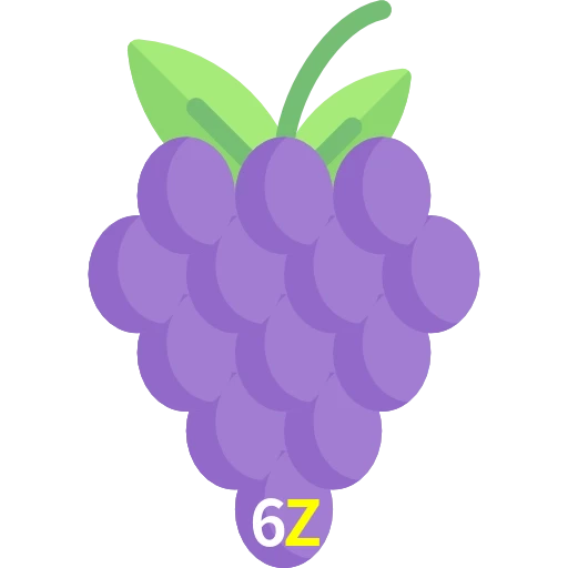 6Z